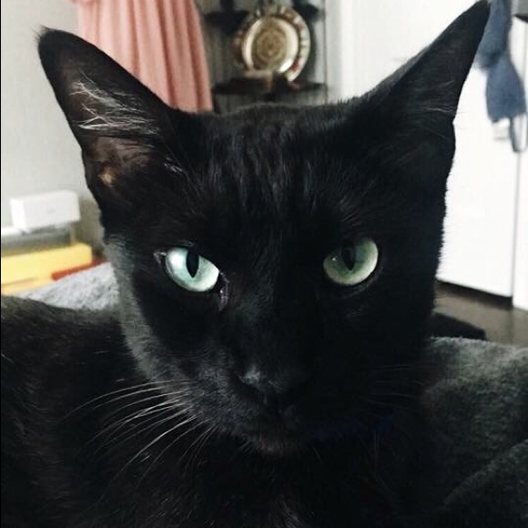 Meet your Posher! - Picture 8 of 8